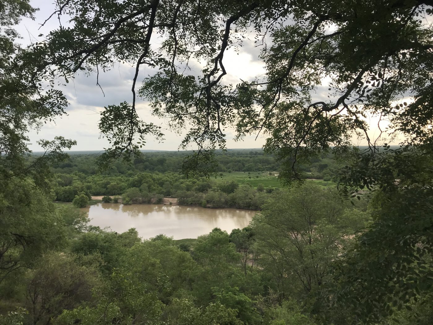 Water hole at the Mole Hotel