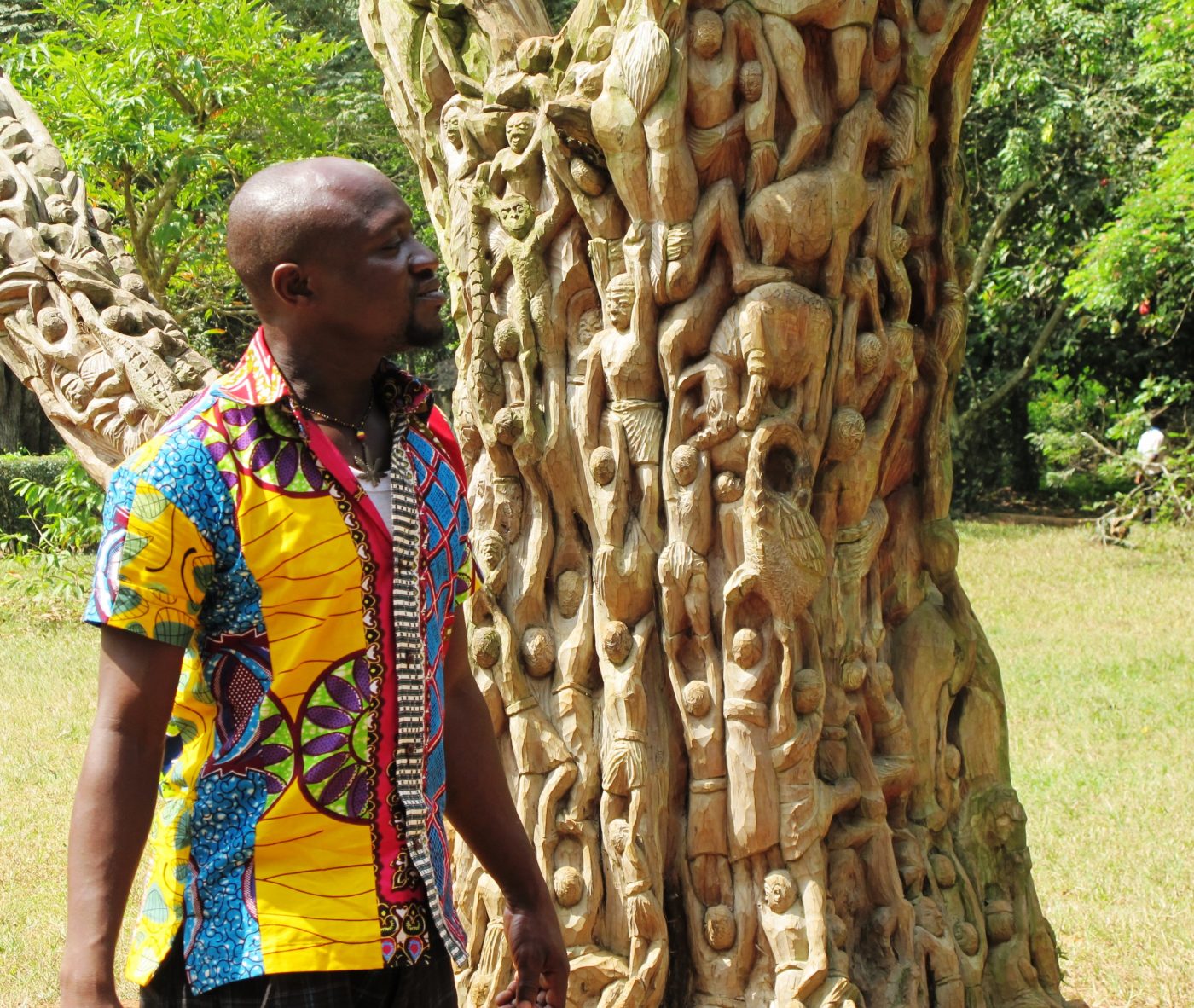 Graven tree in the Aburi Botanical Gardens